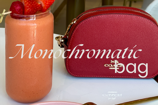 El bolso TOP del 2024: Monochromatic Color Bags