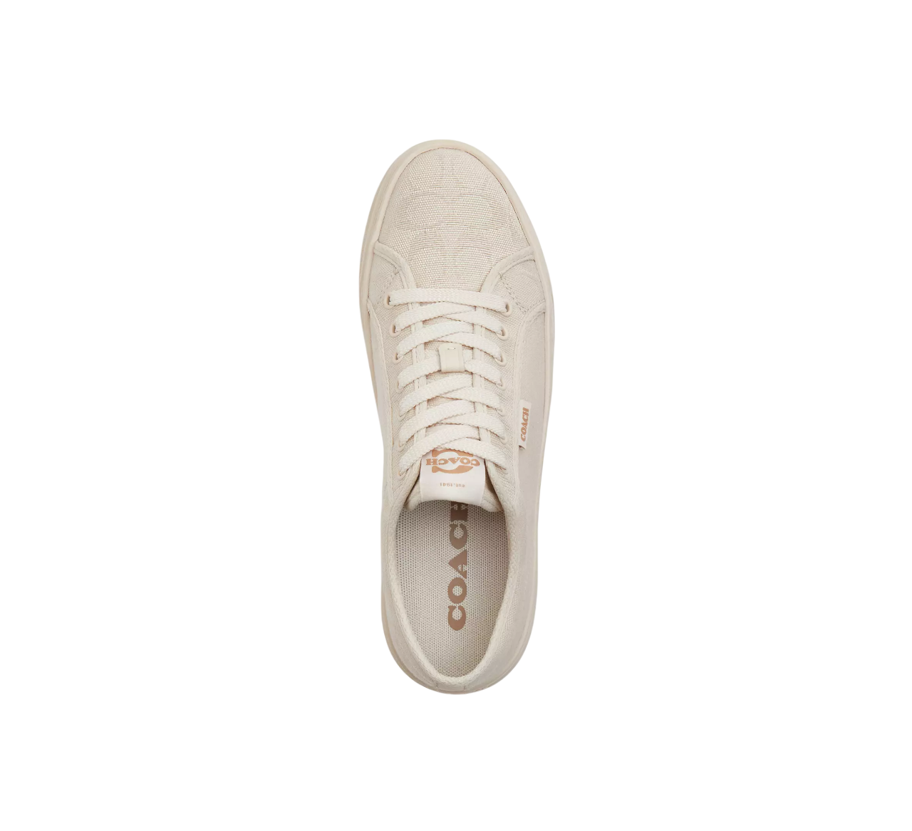 Tenis Coach Canvas Sneaker Chalk