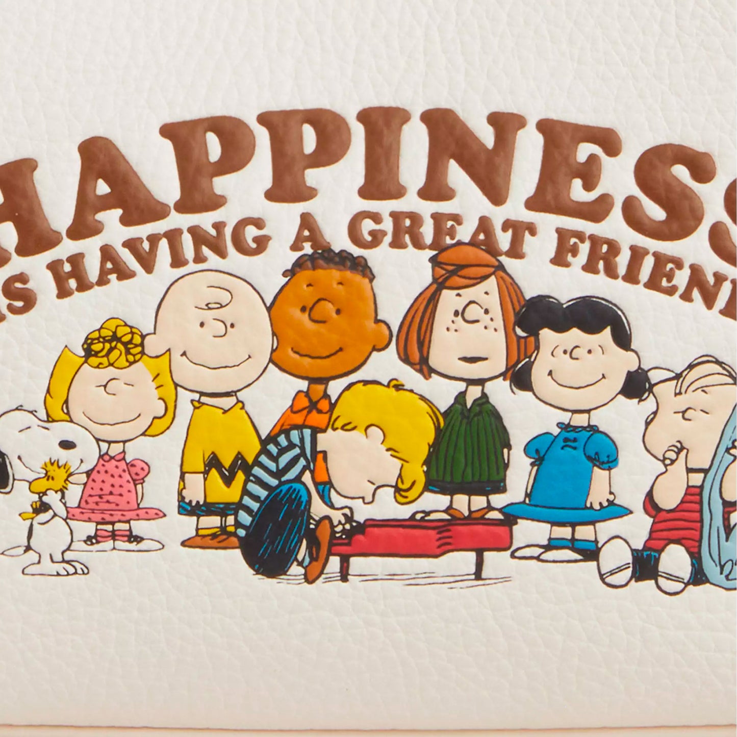 Bolsa Coach X Peanuts Nolita 19