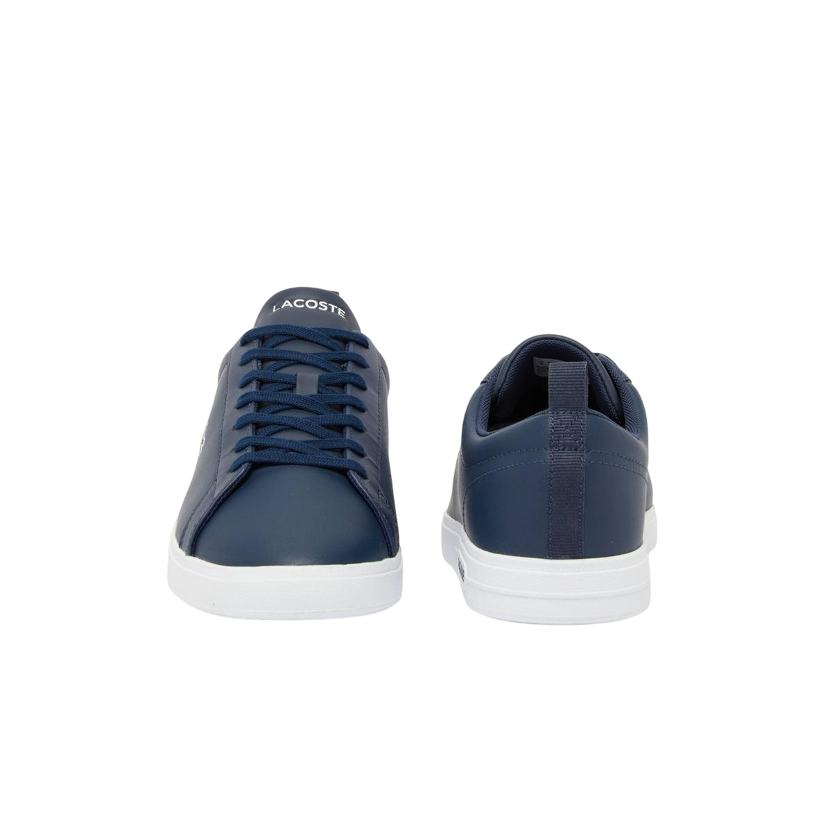 Tenis Lacoste Court Base Navy