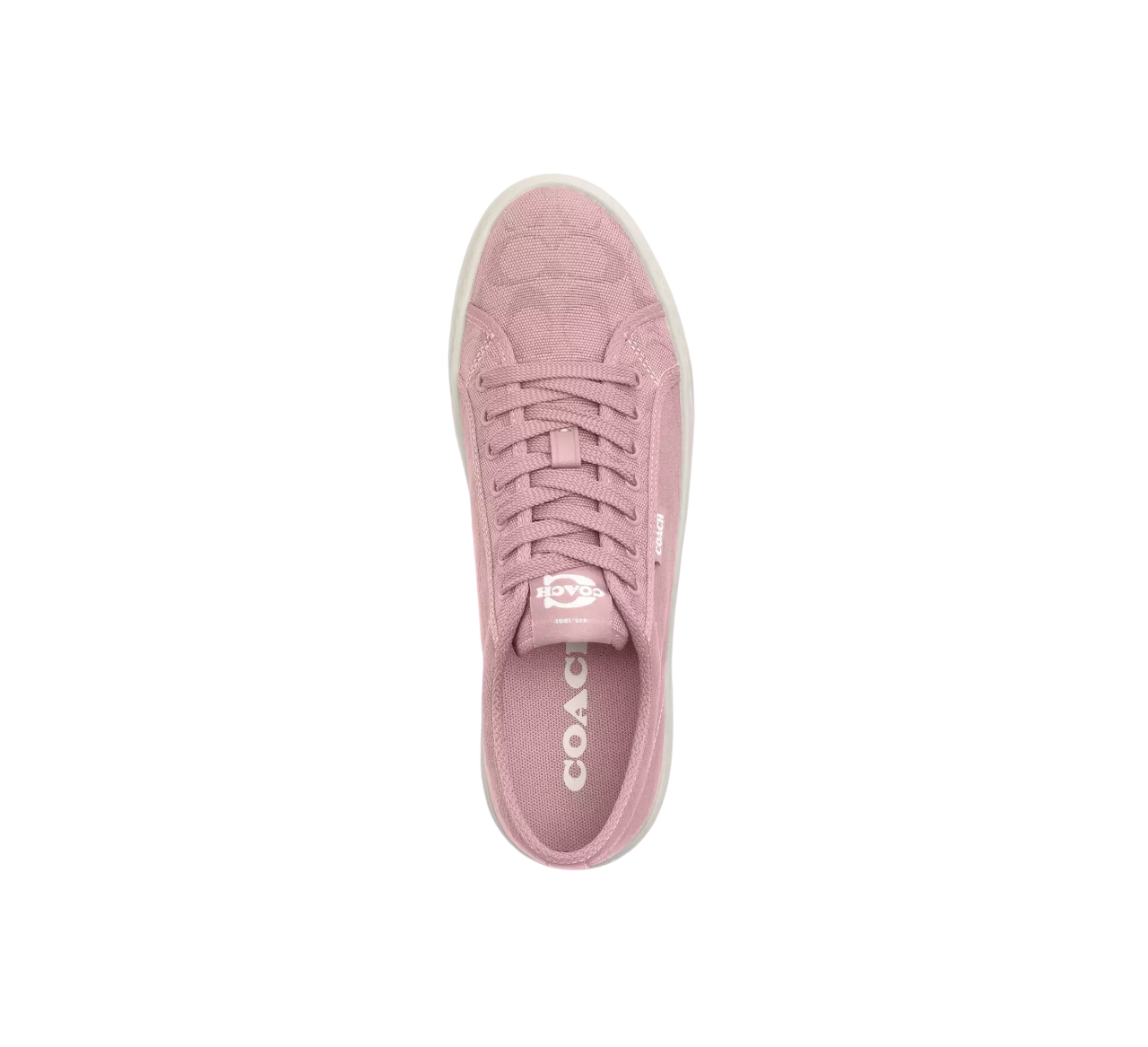 Tenis Coach Canvas Sneaker Carnation Chalk