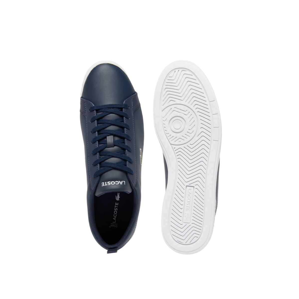 Tenis Lacoste Court Base Navy