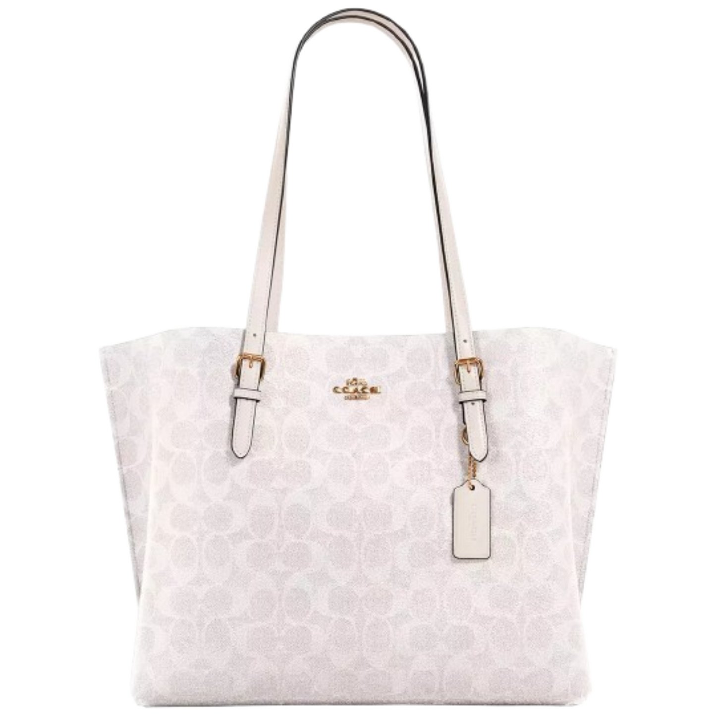 Bolsa Coach Mollie Tote In Signature Canvas